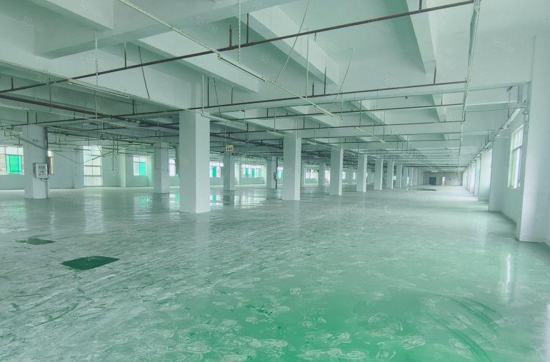 9.9元起大朗松木山花园式2000平厂房出租仓库出租独院独栋