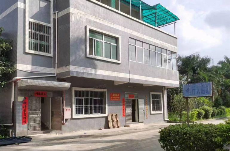 0公摊房源大朗洋坑塘砖墙到顶单一层2000平独立办公室600