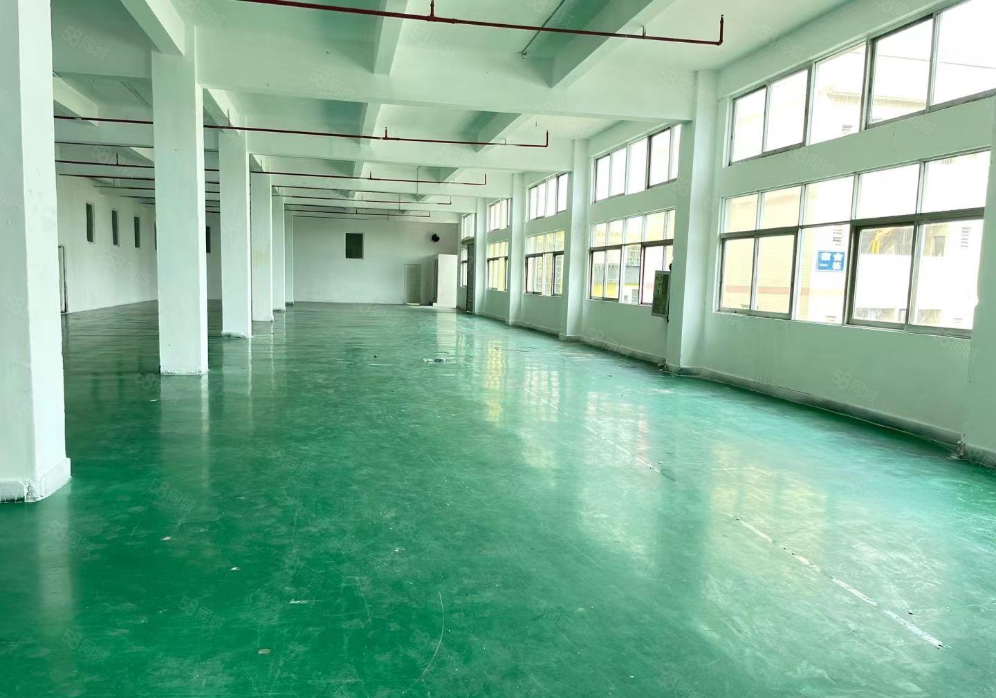 特价12元 大朗工业园区 可环评 500平起租 适合各行各业