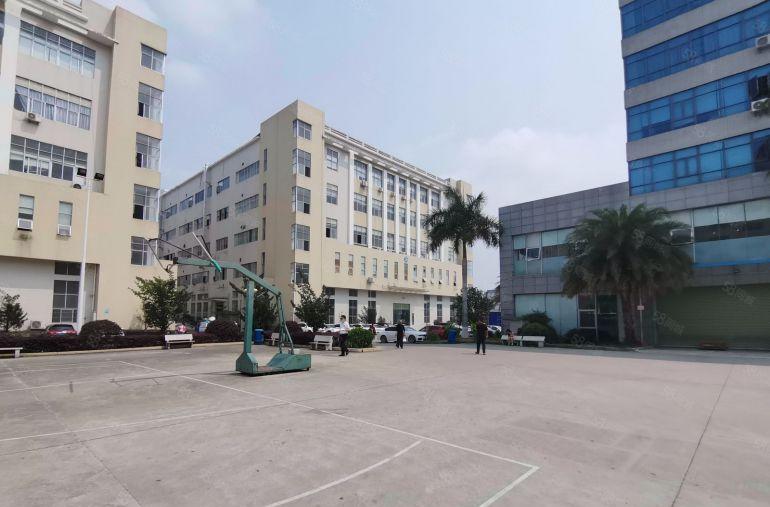 500起租大朗体育馆3万m园区厂房仓库出租一楼17二楼9元