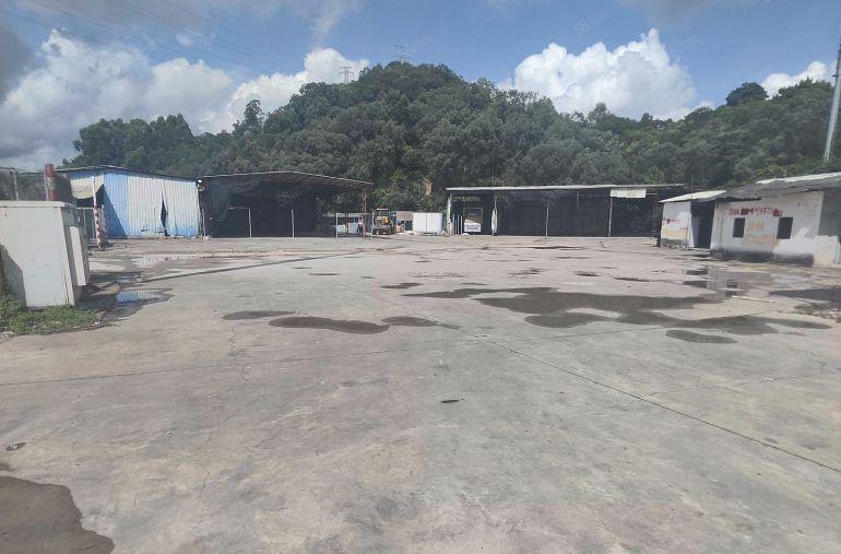 大朗镇原房东独门独院铁皮空地，主干道边上周边无居民，急租5元