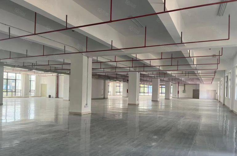 大朗靠近高速路口新出全新原房东厂房招租一楼8米高，特价出租！