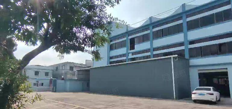 大朗原房东独院厂房6000平，形象好空地大，水电可过户无公摊