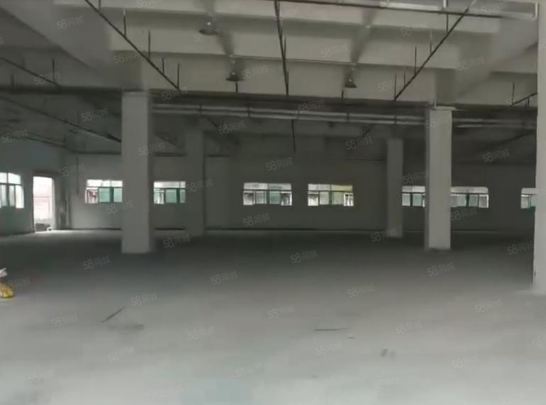 大朗S357旁一楼高7米850平方标准厂房出租 水电齐全