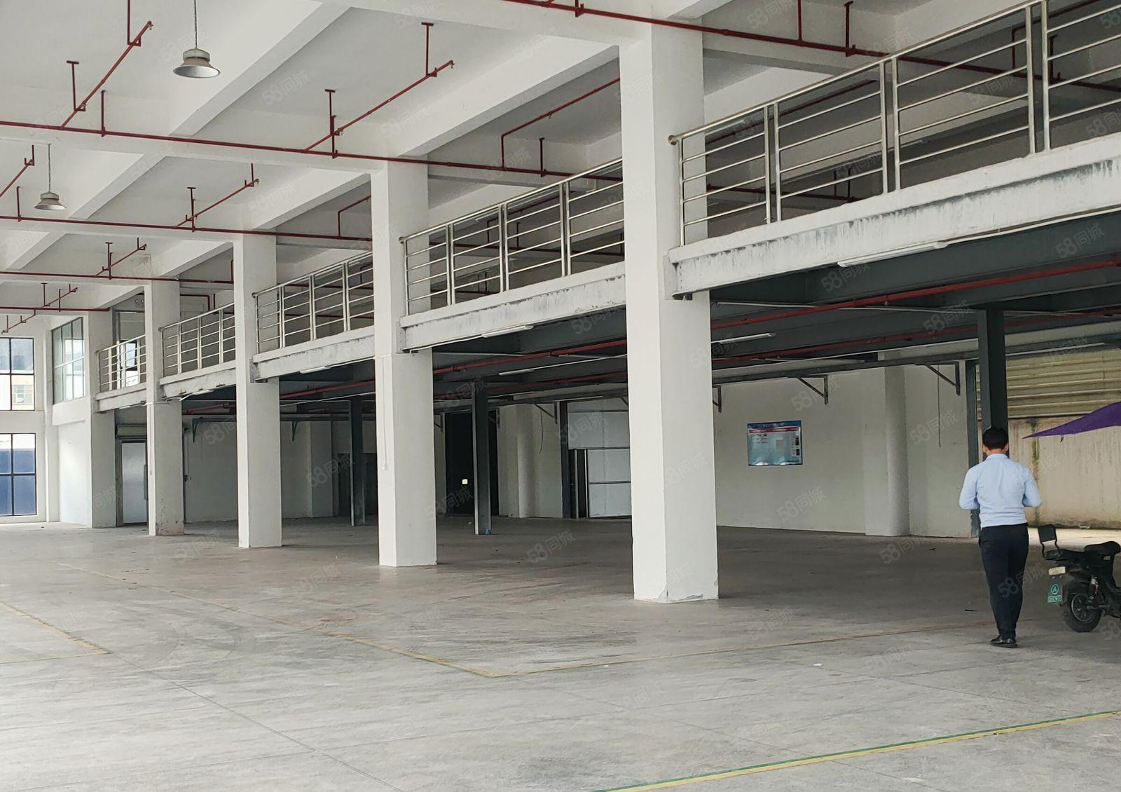 大朗新出高速路口下1500厂房带现成精装修，现低价出租，