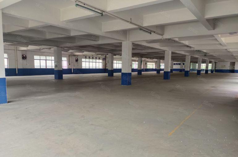 大朗洋坑塘全新重工业园区厂房楼上特价出租，现成精装修办公室