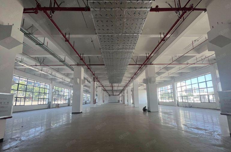 大朗原房东带环评，一楼高8米15，楼上10块，自己交电费