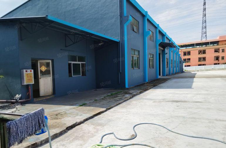 大朗镇仓库厂房出租工业厂房出租钢结构6900方单一层独院个人