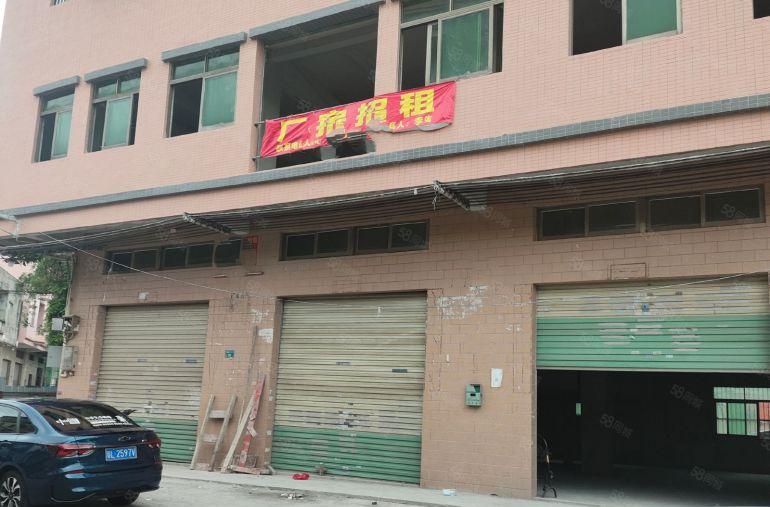 大朗镇洋坑塘村独栋，一楼带阁楼，共1800平厂房，原房东直租