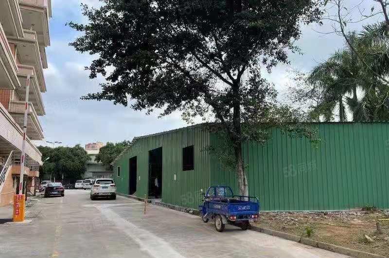 大朗便宜小钢构 交通方便路大，可作加工仓库