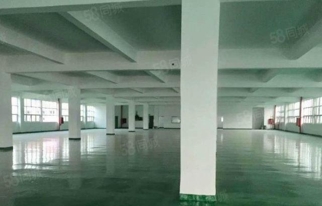 8千元全包 大朗工业园楼上800平方超靓厂房 配套齐全