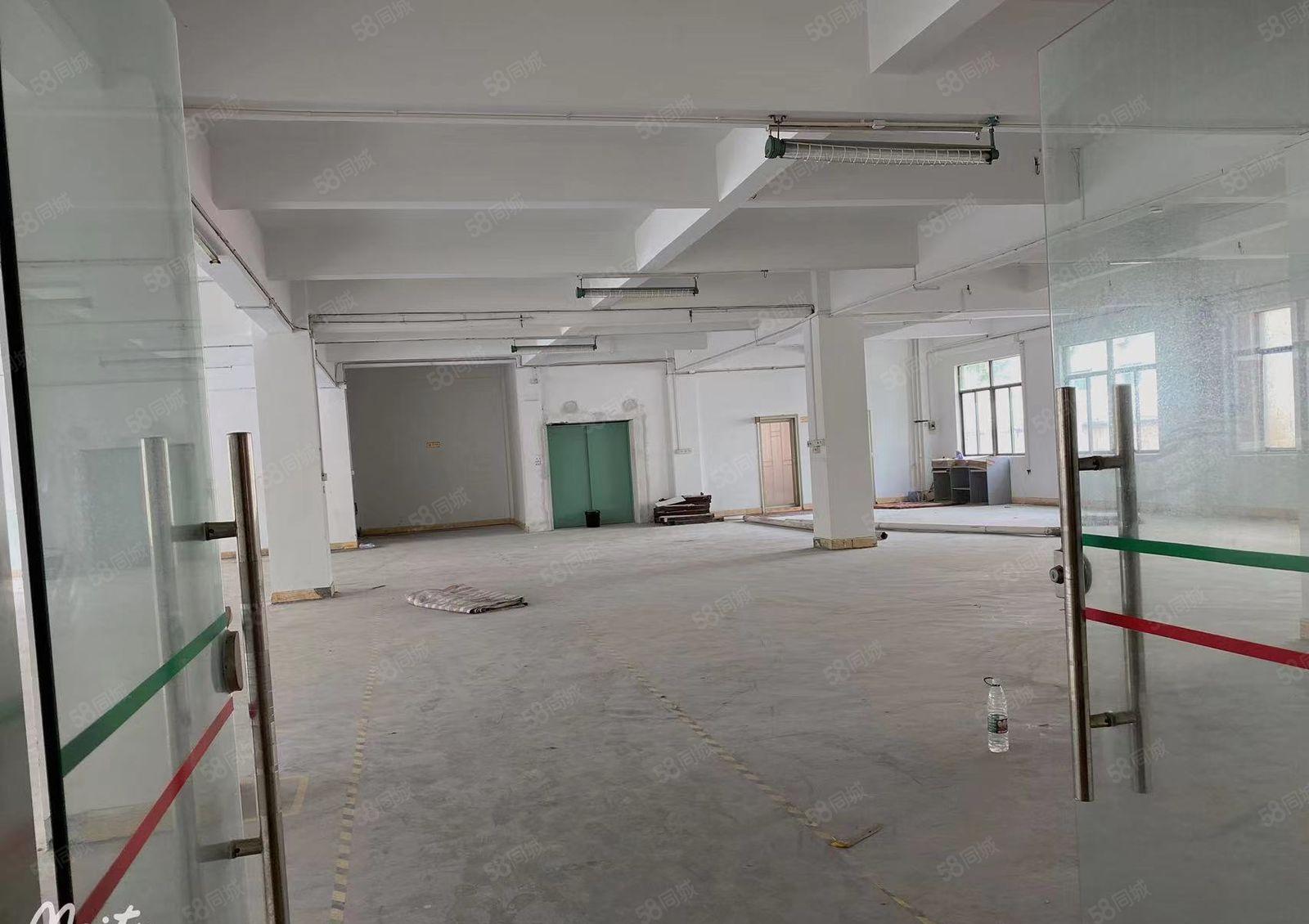 个人独院厂房低价出租！大朗盈丰路9号厂房1300平可分有环评