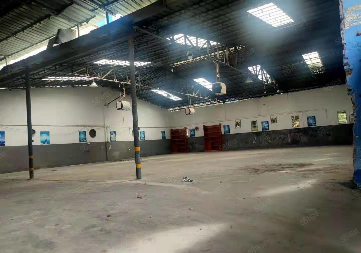 大朗原房东钢构500方，高约4.8米价格实惠无公摊，主路边