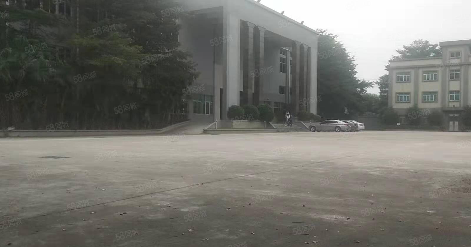 大朗花园式国有双证15000平带卸货平台超大空地5000平