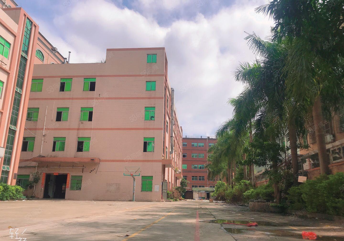 大朗工业区独院厂房首层高度6米配套齐全可办环评