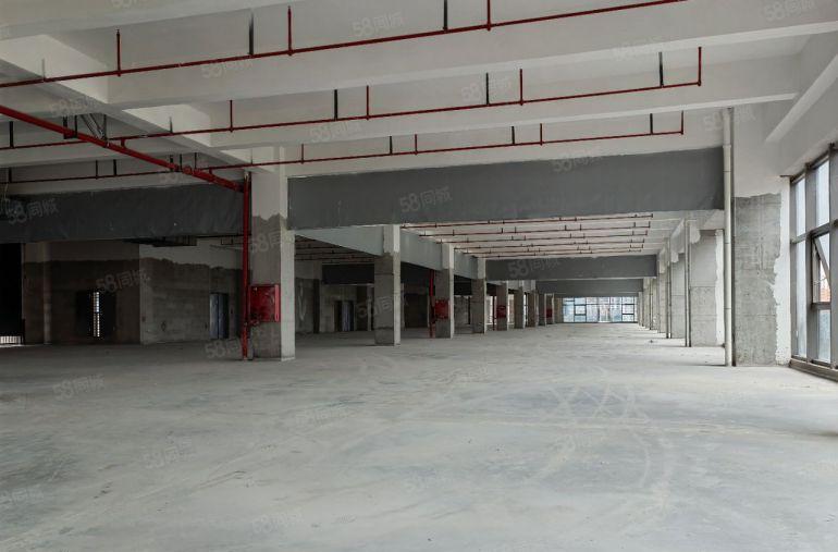 大朗富民工业城全新独院标准厂房35000平可分租