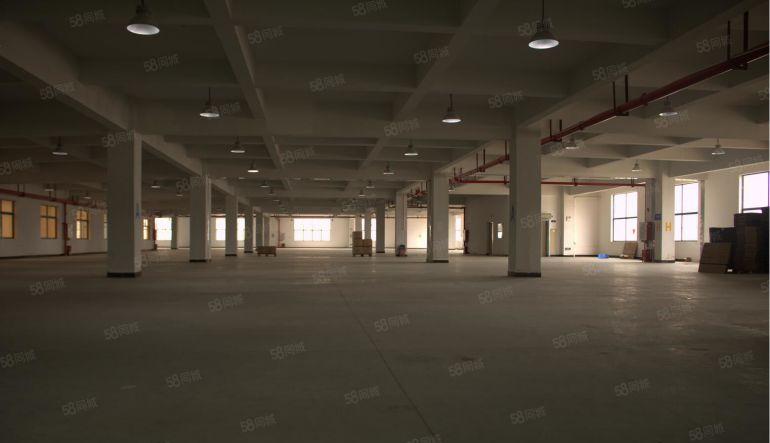 东莞 大朗 原房东 500平 全新厂房出租