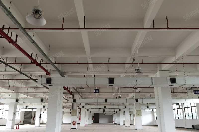 大朗喷油喷粉烤漆酸洗磷化电泳研磨丝印园区厂房出租