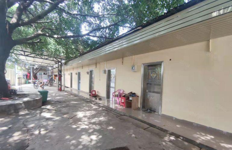 大朗镇原房东独院单一层厂房出租5000平方带现成航吊滴水8米