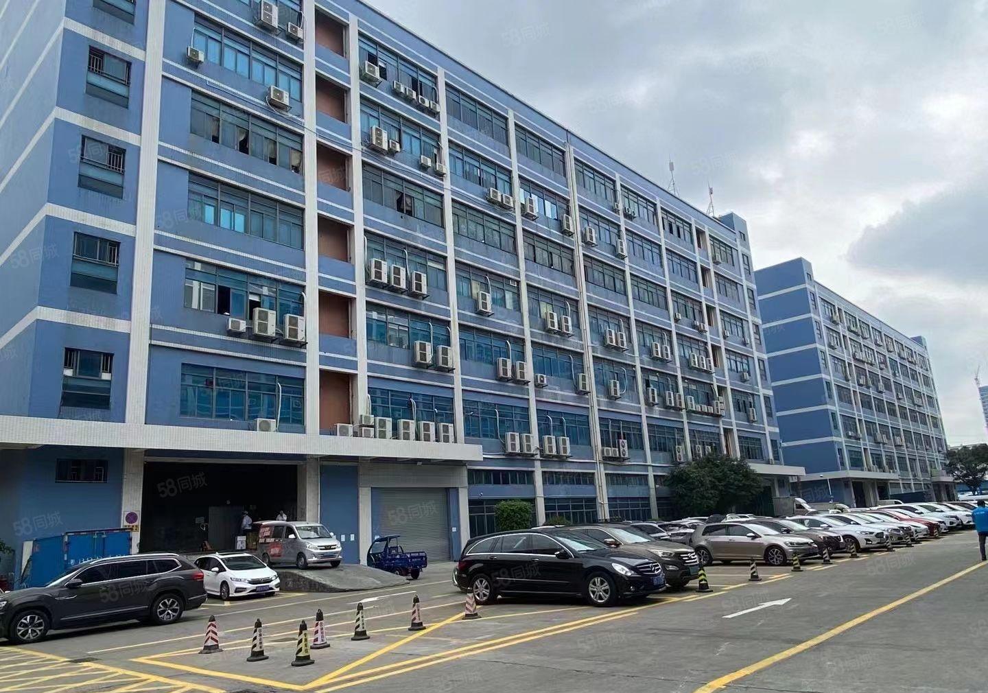 大朗，玻璃外墙！5万平方，原房东，暗盘委托。