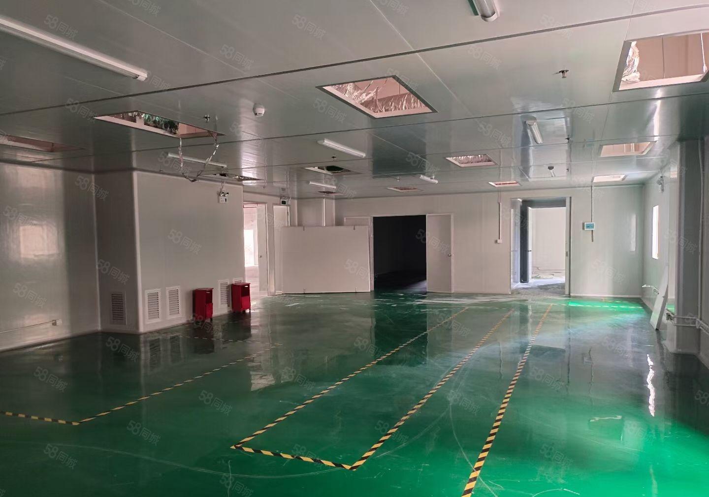 大朗洋坑塘工业区新出带装修厂房，一二楼，每层850平，可分租