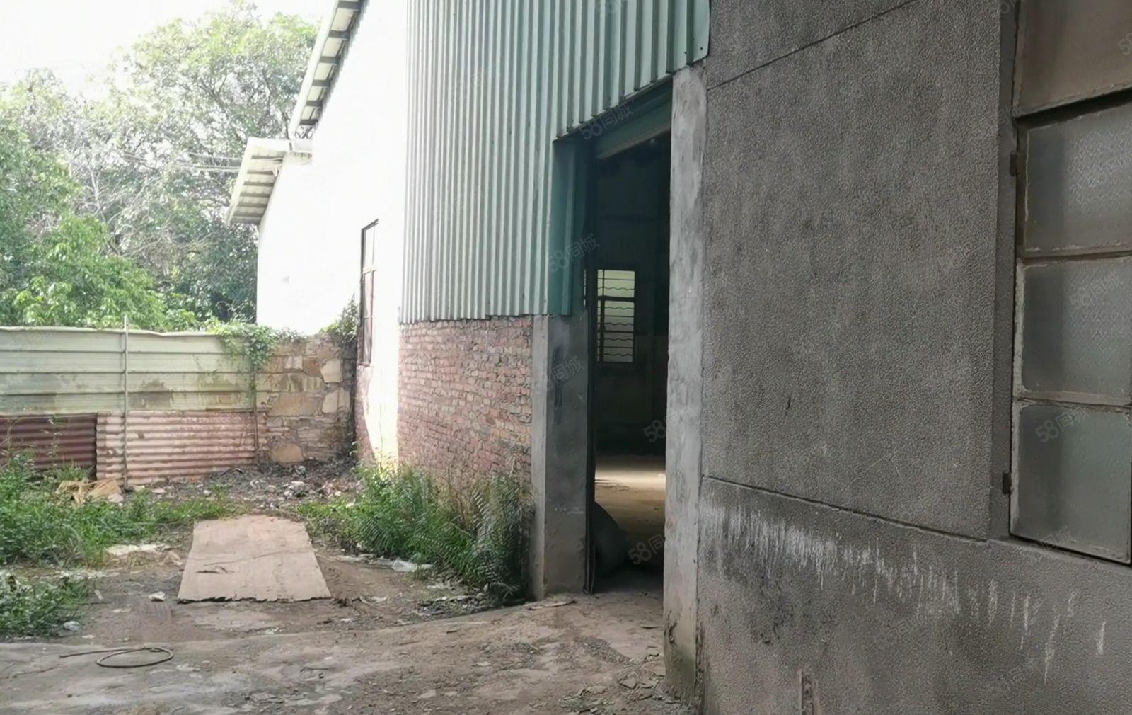 大朗新出单一层800平位置偏僻周边无居民可做噪音抛光等