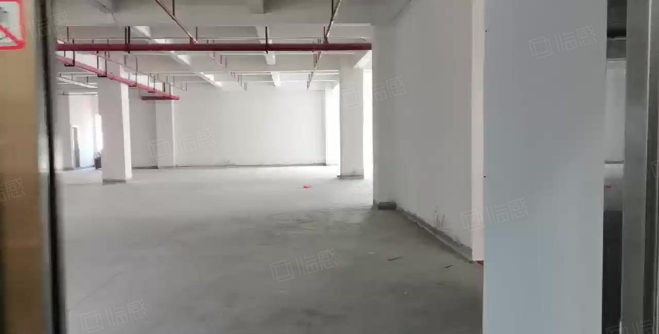 原房东超低价9块9元大马路上 形象好厂房出租