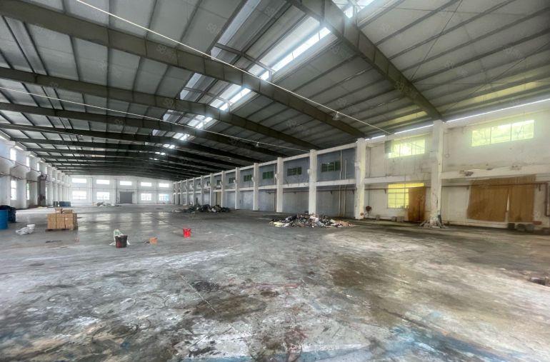 大朗台湾房东独院空地超大钢结构无柱子带隔热层独立办公室