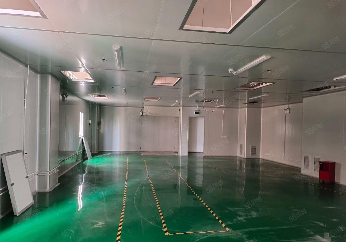 大朗洋坑塘工业区新出带装修厂房，一二楼，每层850平，可分租