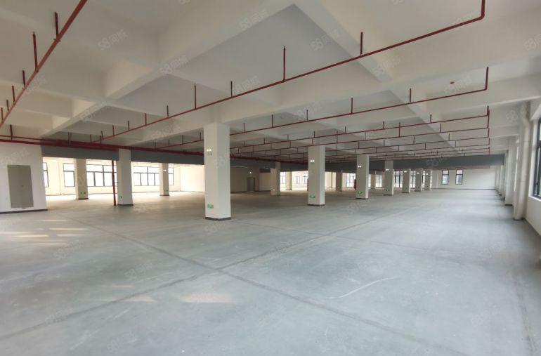 大朗镇厂房出租，带货梯，大小可分租