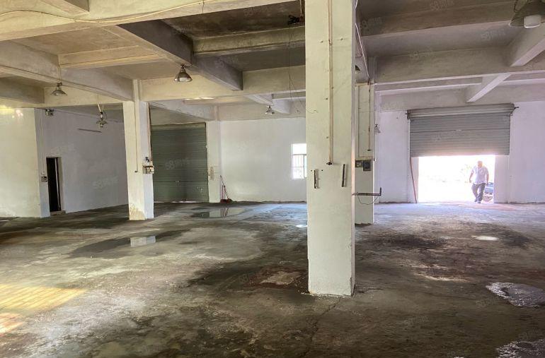 厂房出租。大朗镇沙步独栋厂房三层1200平交通便利