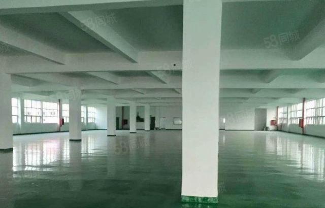 带现成环评 大朗蔡边5000平花园式独院厂房 9元抢租