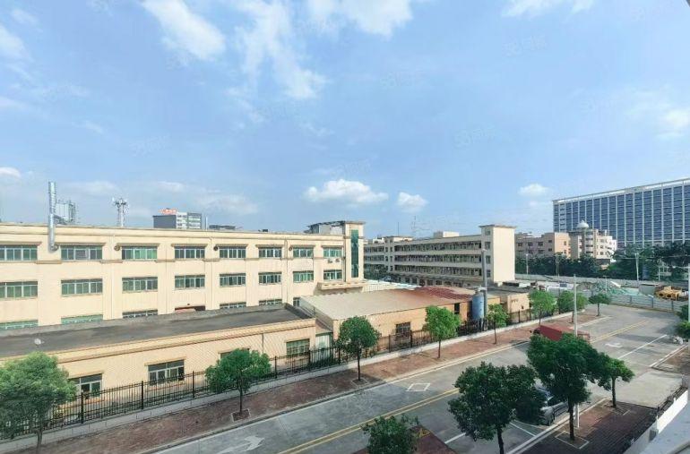 大朗富民工业区独院厂房出租3200平超大空地可分租