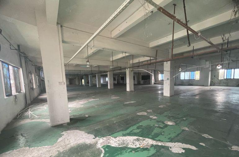 超低价！超低价给钱就放 ，大朗求富路大工业园内