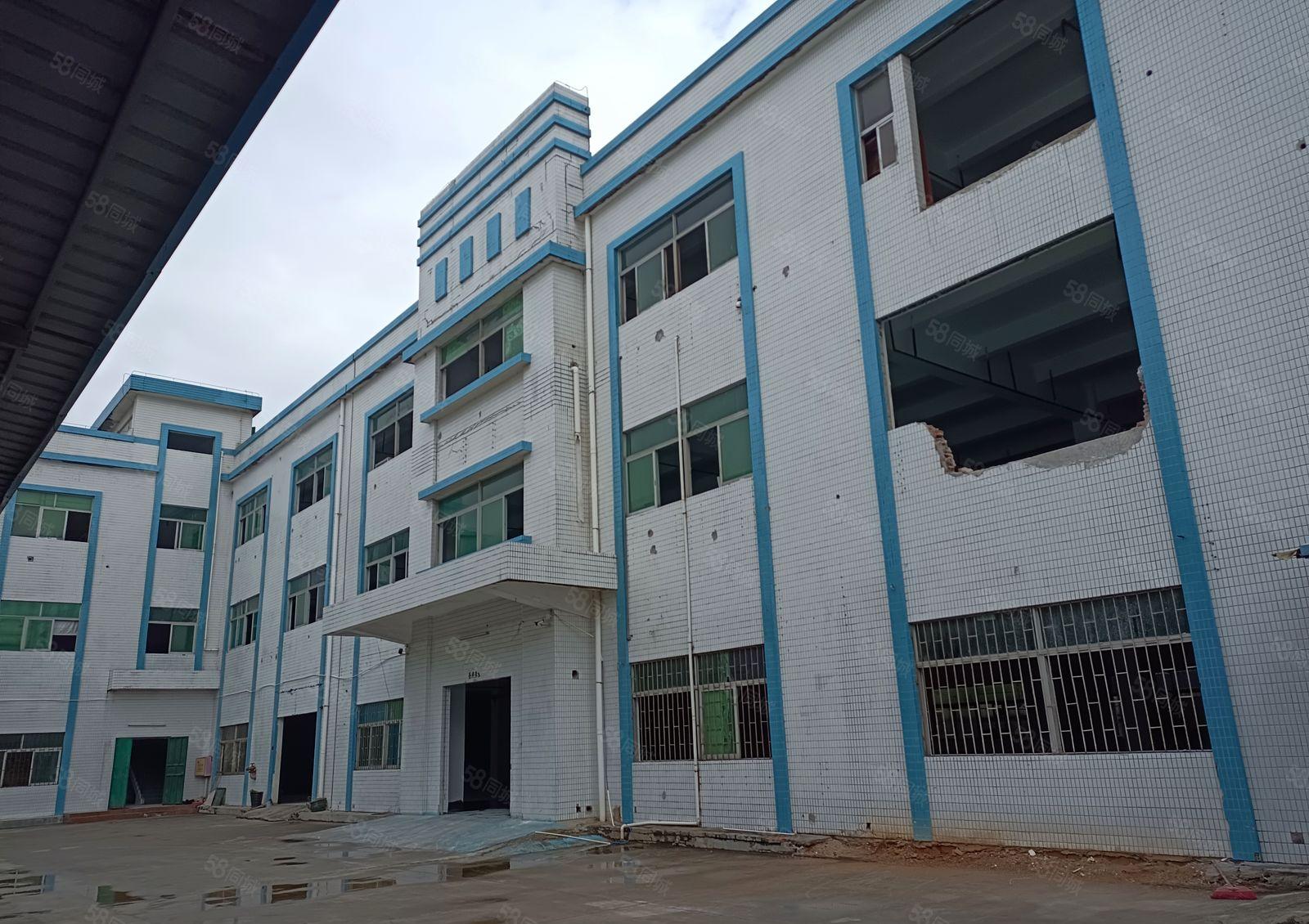 东莞周边原房东个人厂房直租一楼层高独门独户