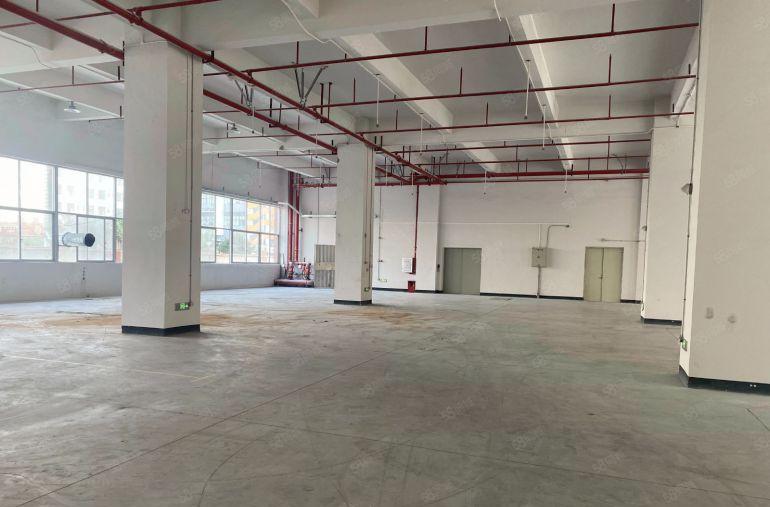 6米高！大朗一楼1600平标准带精装修厂房出租，水电齐全