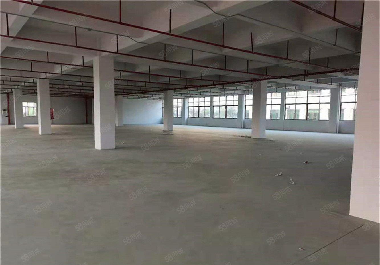 新出特价大朗工业园区厂房出租一层1300方，配大货梯可办环评