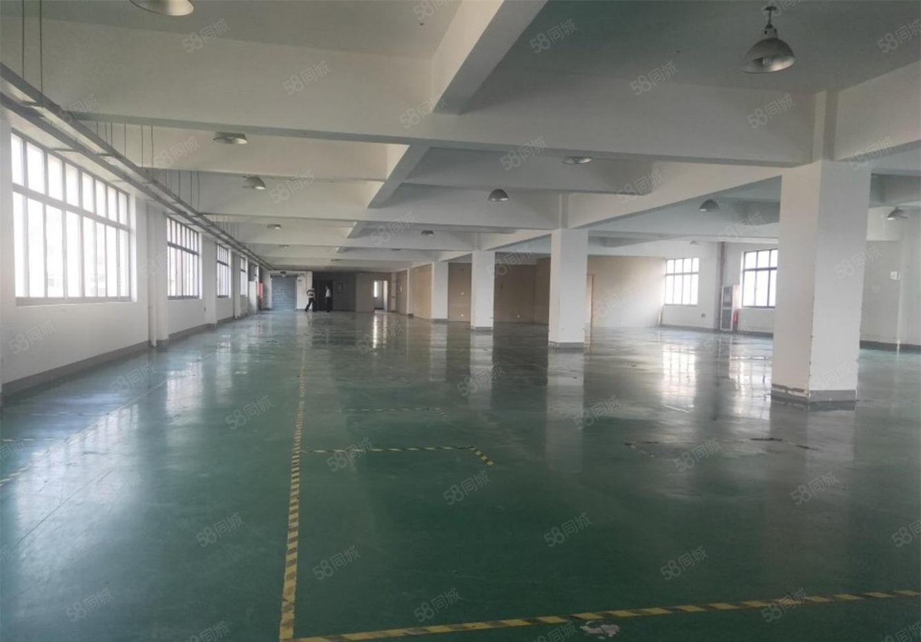 大朗原房东工业厂房出租楼上700方，地理位置佳，可做仓库使用