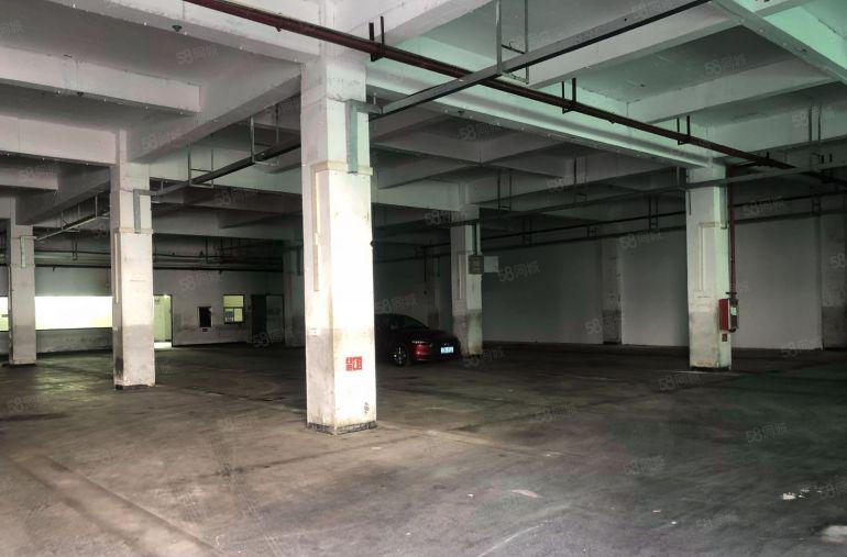 大朗洋乌工业区新出标准一楼1450平方，高度6米