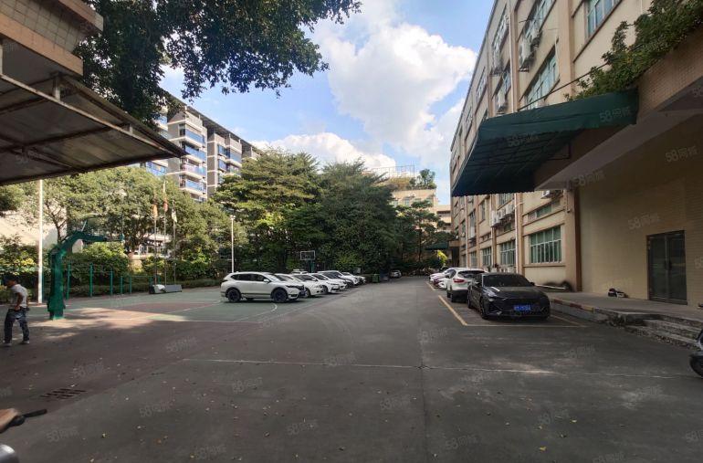 大朗 标准独院厂房 现成装修 适合纺织 电子 医疗器械 箱包