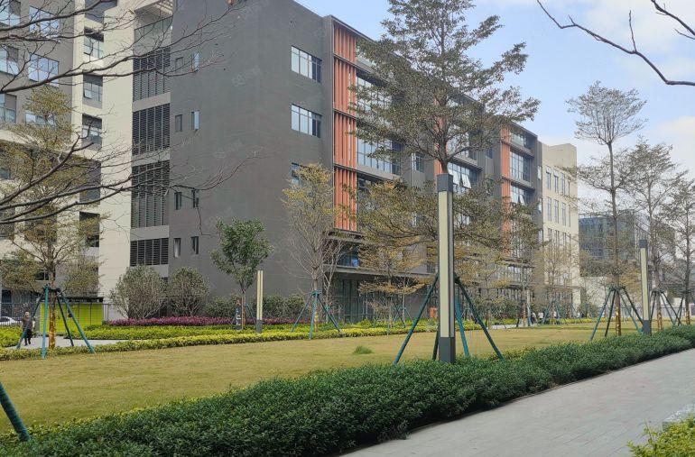 大朗镇原房东花园式独栋红本厂房，特价15元急租。主干道边上。