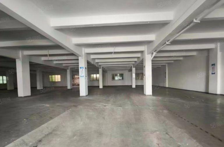 新出厂房出租独门独院钢构厂房1200方只要12块12块一平