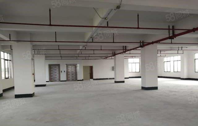 本人新建 大朗新马莲2500平方独院厂房 有意向随时可看厂