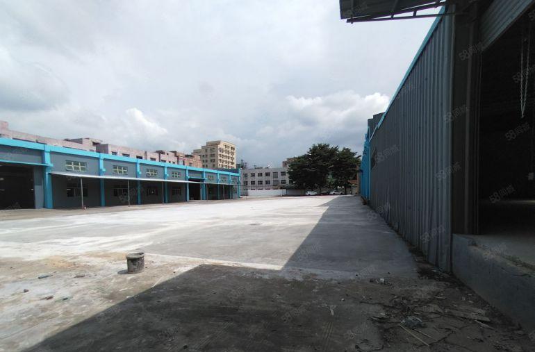 大朗镇仓库厂房出租工业厂房出租钢结构6900方单一层独院个人