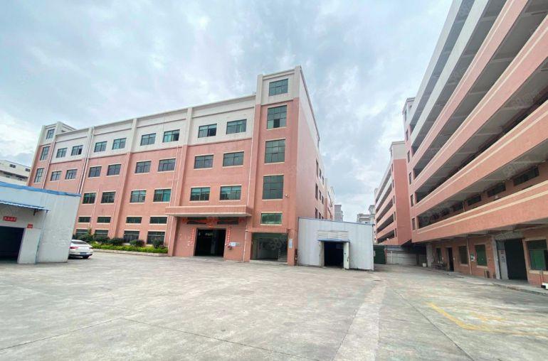 大朗镇原房东独院标准厂房总面积9800平米带豪华精装修办公室