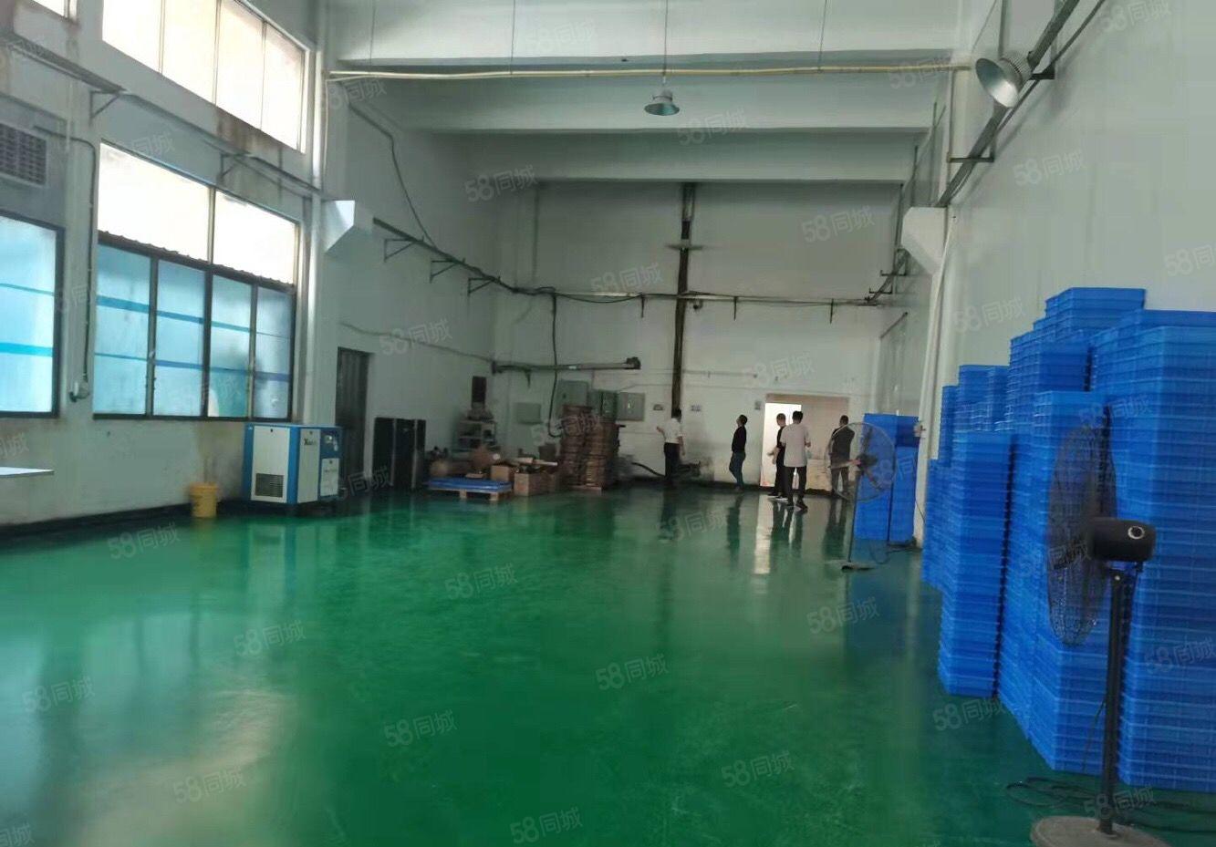 大朗镇新岀2000平原房东一楼，大小可分，空地大配套齐全