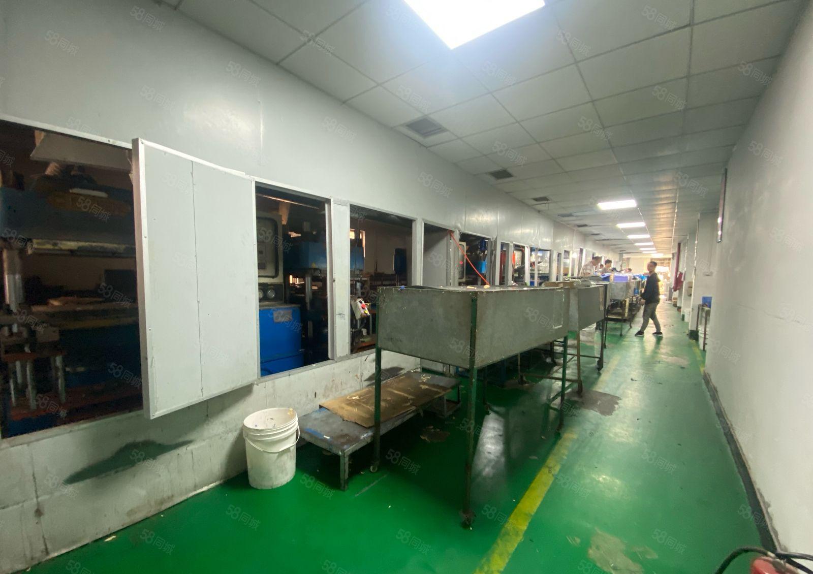 大朗经典小独院2500平现成喷油环评水电齐全