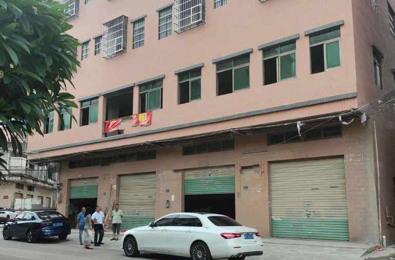 大朗镇洋坑塘村独栋，一楼带阁楼，共1800平厂房，原房东直租