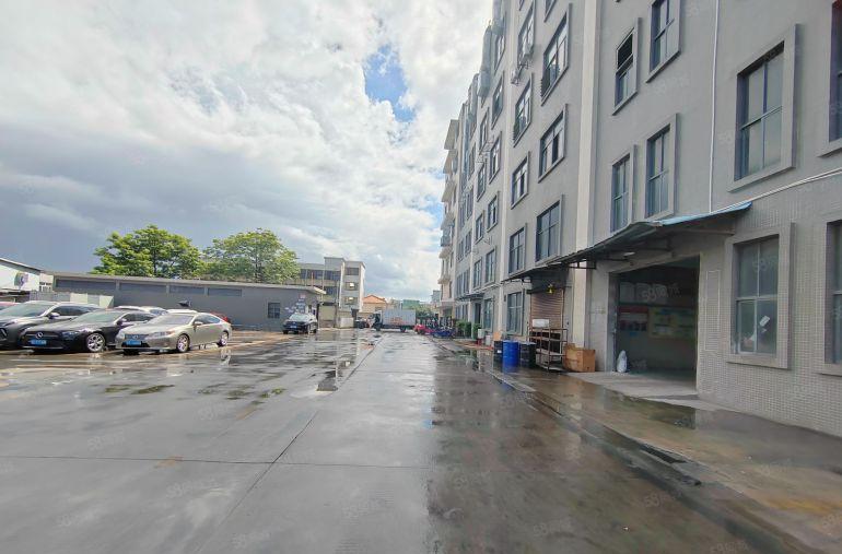 大朗镇新马莲标准一楼1400，高度8米，交通方便，电按需