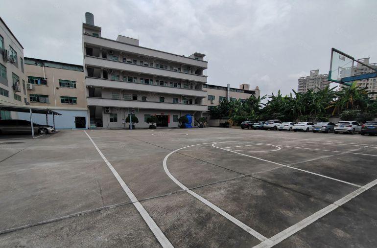 大朗镇 独院厂房 整租 5000平米 形象好 场地很大看图